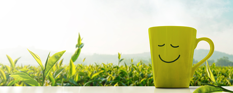 Magnesium for CALM: How Magnesium Fights Anxiety & Stress