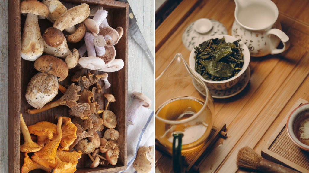 L theanine amino acid in mushrooms and tea